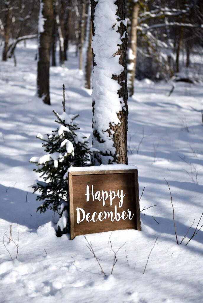 December Greetings Images: 100+ Festive Wishes to Share Joy All Month Long 14 December Greetings Images: 100+ Festive Wishes to Share Joy All Month Long