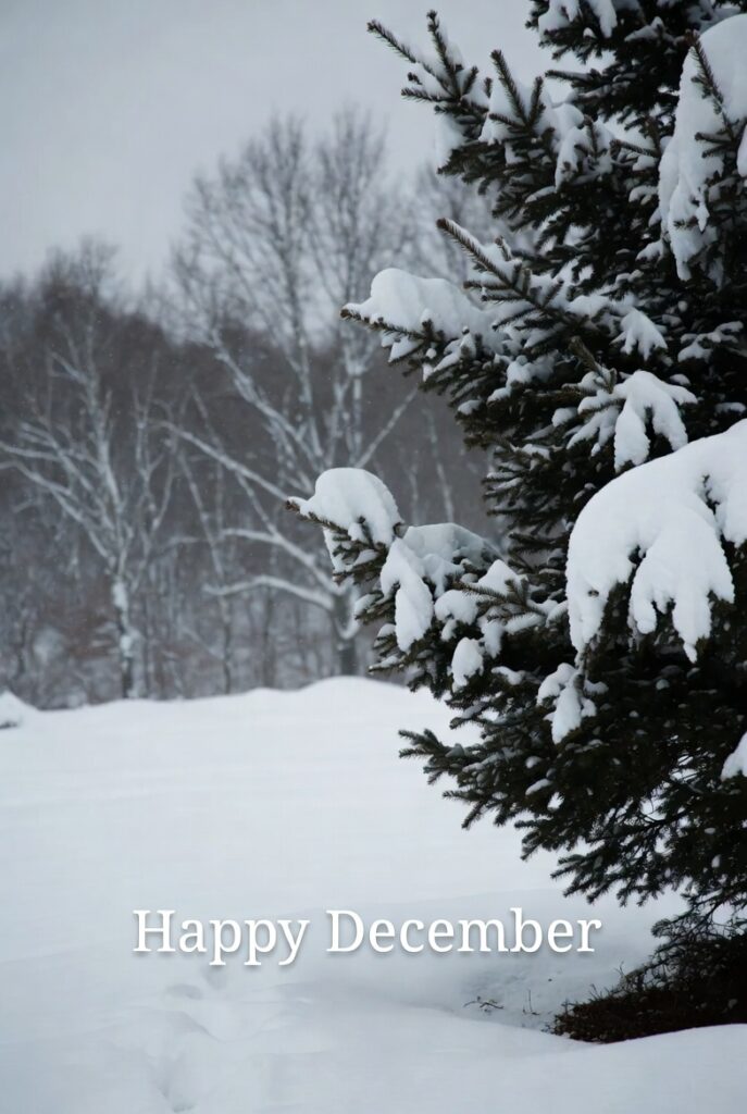 December Greetings Images: 100+ Festive Wishes to Share Joy All Month Long 15 December Greetings Images: 100+ Festive Wishes to Share Joy All Month Long